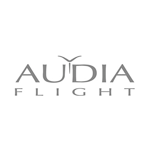 Audia Flight
