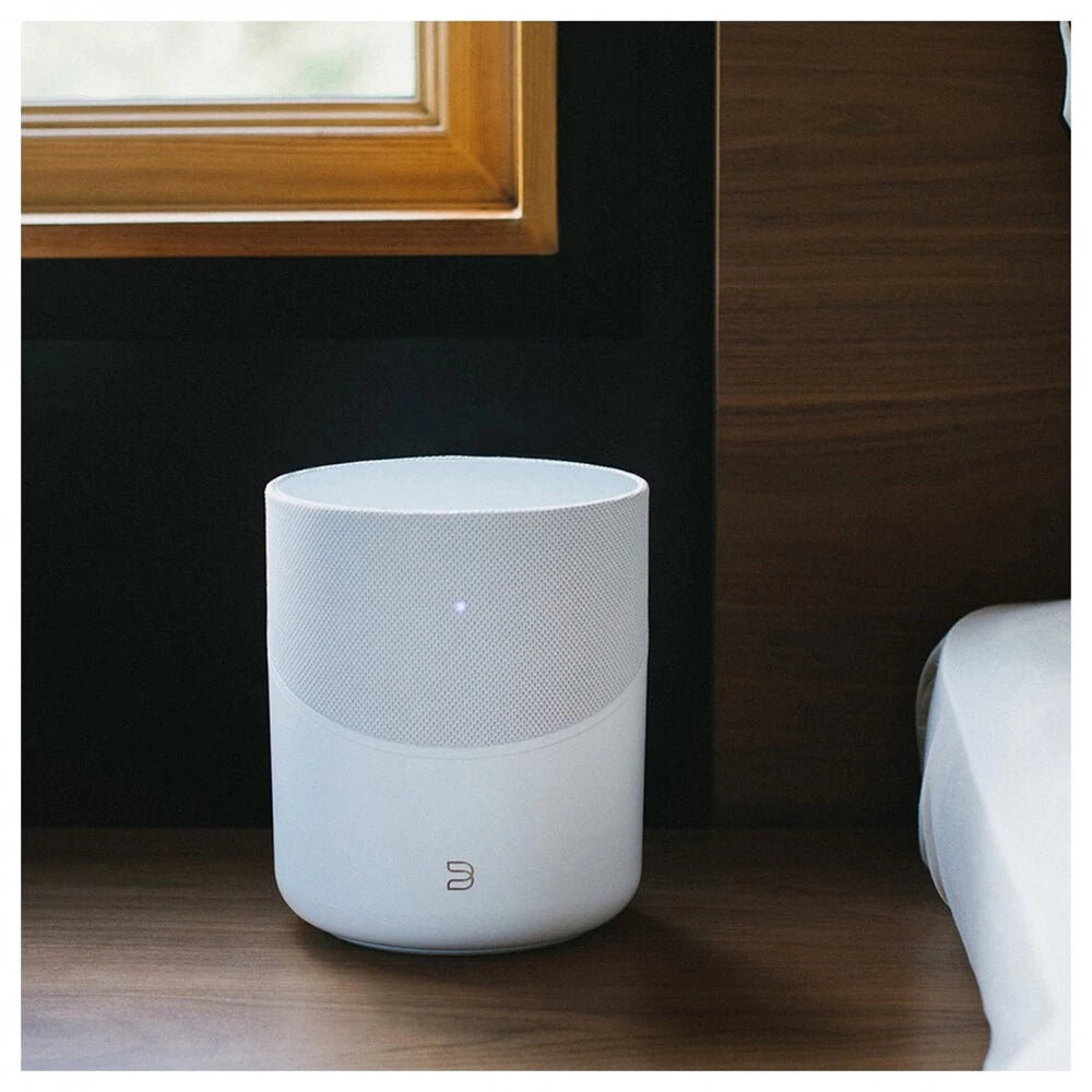 Bluesound PULSE M