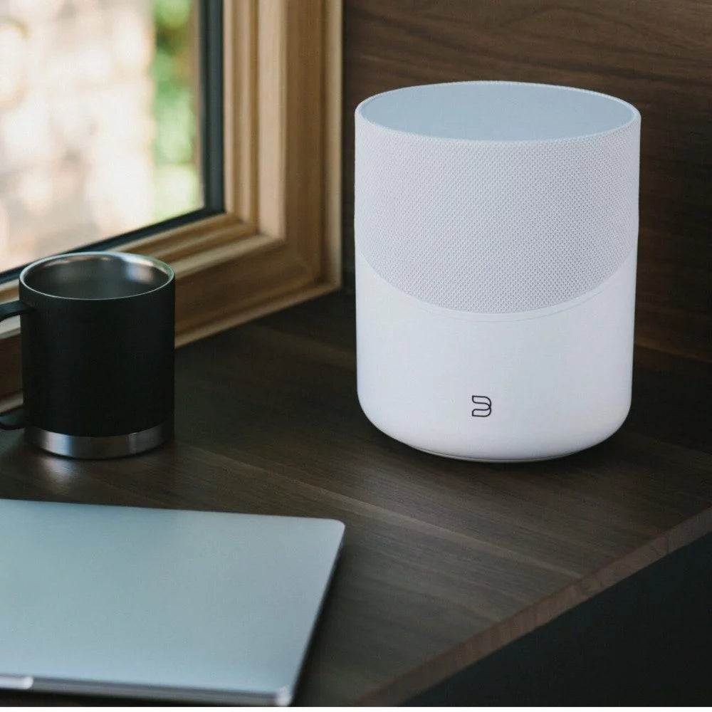 Bluesound PULSE M