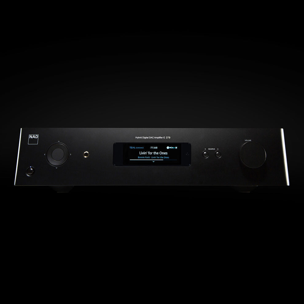 NAD C 379 HybridDigital DAC Amplifier