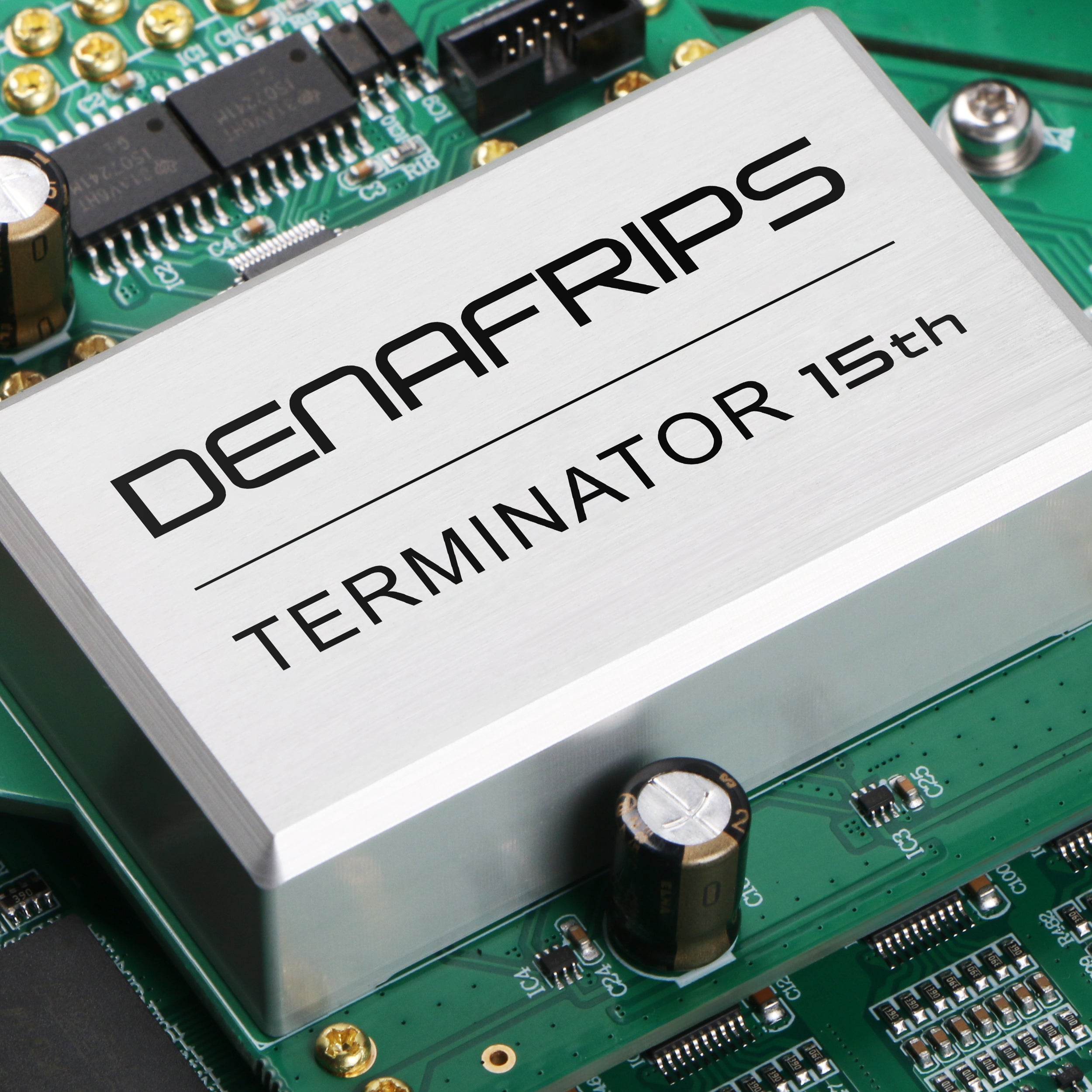 DENAFRIPS TERMINATOR 15TH R-2R DAC