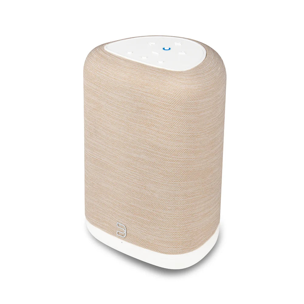 Bluesound PULSE FLEX (P130)