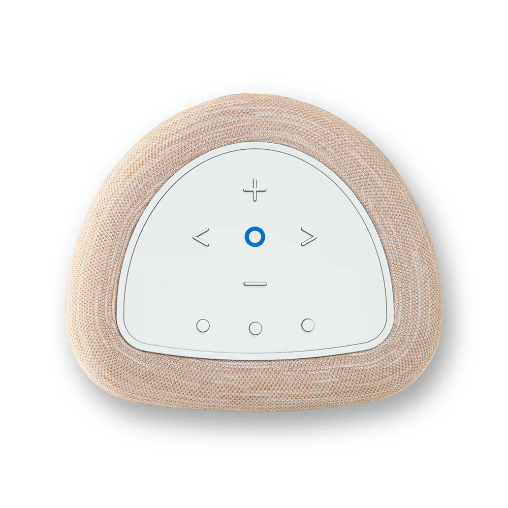 Bluesound PULSE FLEX (P130)